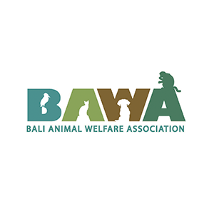 Bali Animal Welfare Association